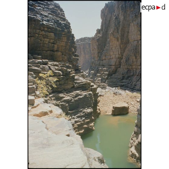 Vue de gueltas (trous d'eau permanents) dans les falaises. [légende d'origine]<br>