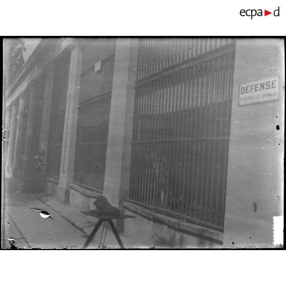 [Zoo. Cages des fauves - "défense d'exciter les animaux"].<br>