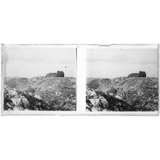 Fort de Liouville (Meuse) - dans les ruines - "tourelle blindée qui n'a pas pu résister aux 420 allemands". [légende d'origine]<br>