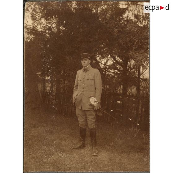 Rose. [légende d'origine]