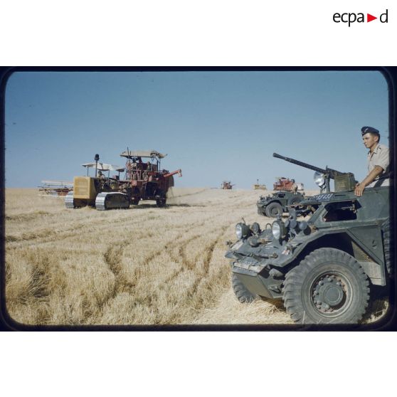 1957 Palat, moissons Juin. [légende d'origine]