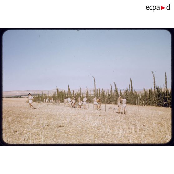 1955 Maroc. [légende d'origine]