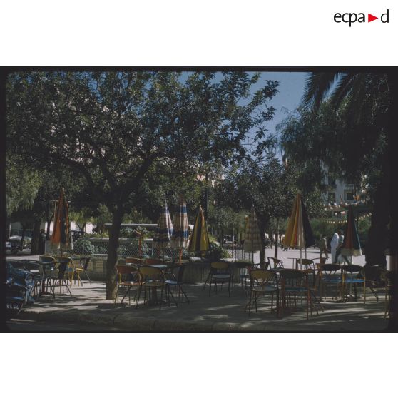 1956 Palikao, environs, à Thiersville. [légende d'origine]