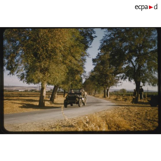 1956 Palikao, environs (1) patrouilles. [légende d'origine]