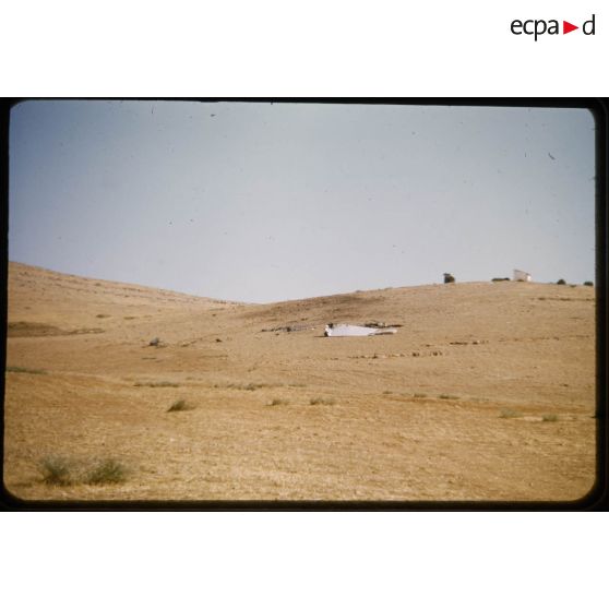 1956 Palikao, environs (6) épave d'un T6. [légende d'origine]