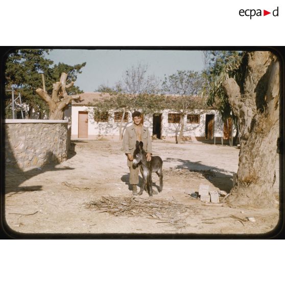 1956 Palikao, Relizane Zémora (3 détcht Pon Trans) (2). [légende d'origine]