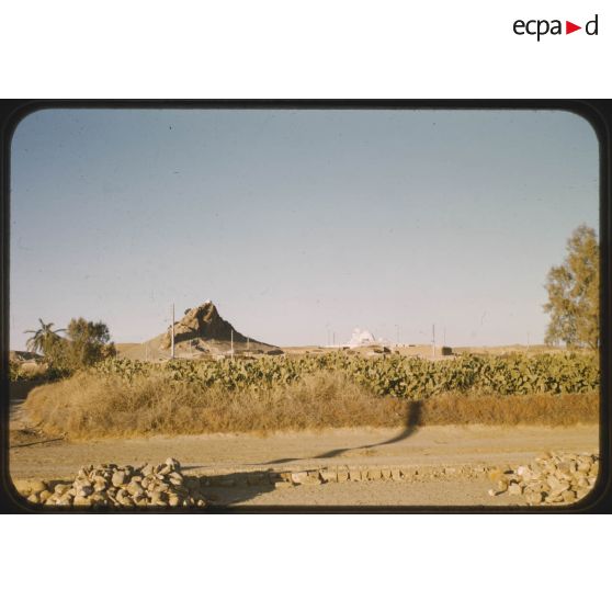 1956 Palikao, Sidi Med ben Aoussa (2). [légende d'origine]