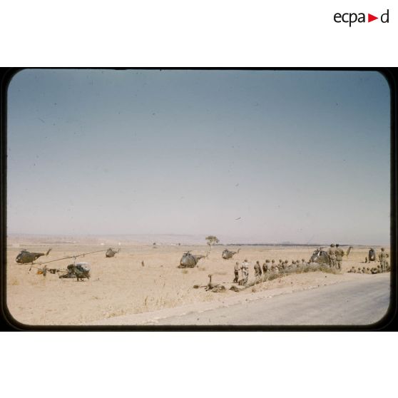 1956 Palikao ops Pt du Chélif. [légende d'origine]