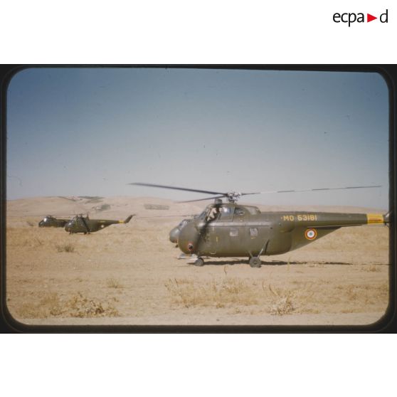 1956 Palikao ops Pt du Chélif (2). [légende d'origine]