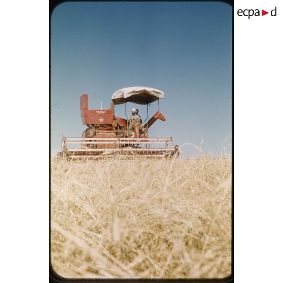 [Une moissonneuse-batteuse pendant les moissons en juin 1957 aux alentours de Palat].