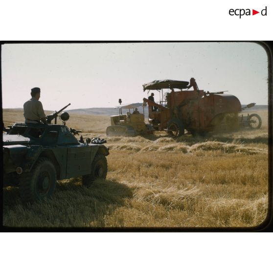 [Protection des moissons par le 12e RD, juin 1957 aux alentours de Palat].