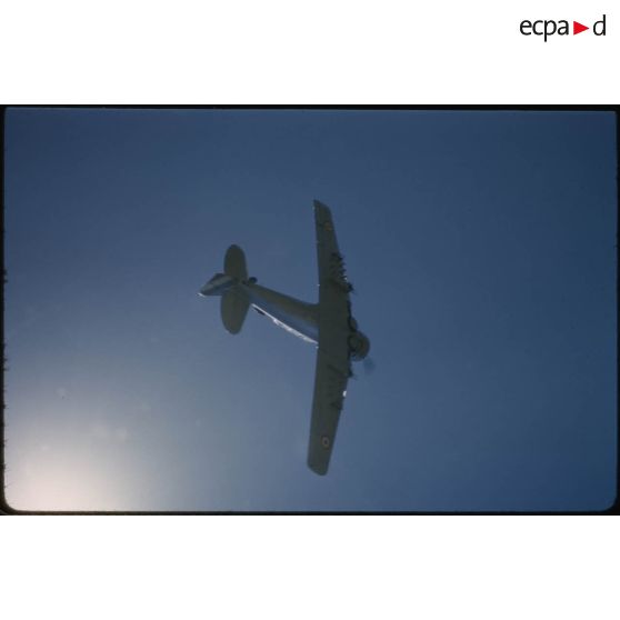 [Opération du 12e RD dans le secteur de Dominique-Luciani, appui aérien par un T6].