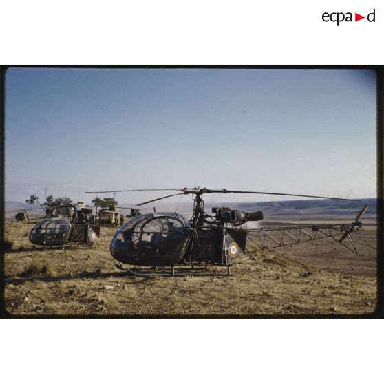 [Opération à laquelle participe le 3/12e RD, des hélicoptères Alouette II SE 3130].