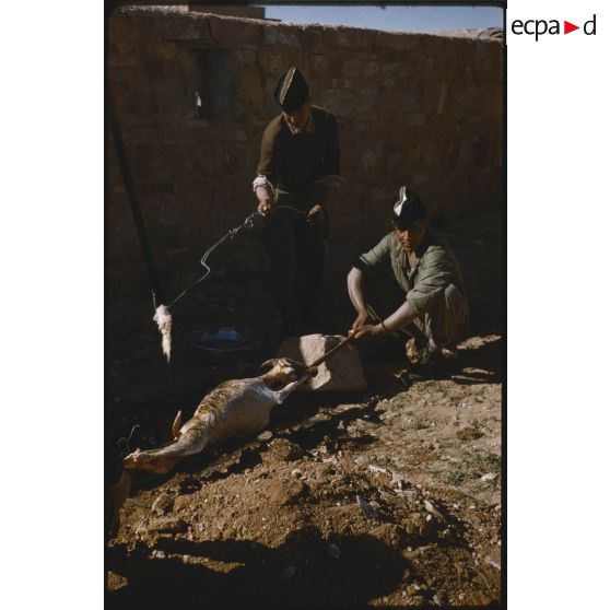 [Méchoui de la Saint-Georges à Mékalis pour le 3/12e RD].