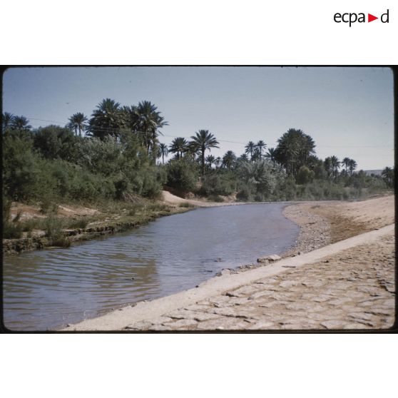 Tiout le 27 mai 1959. [légende d'origine]