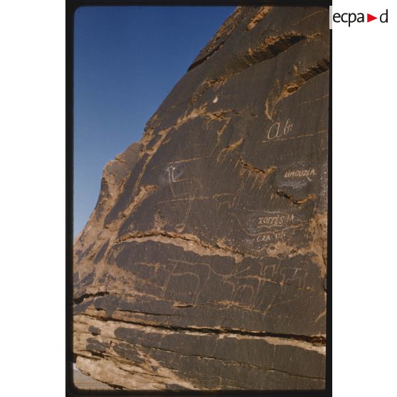 [Gravures rupestres dans les environs de Tiout, le 27 mai 1959].