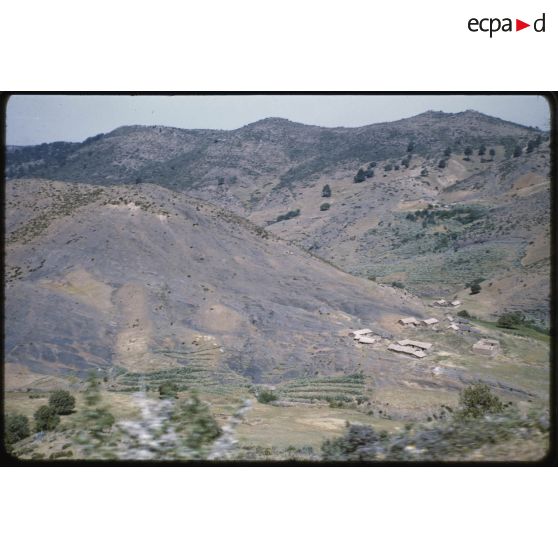 Vers Teniet el Haad, le 21 mai 1959