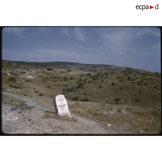 La corniche de Frenda, mai 1959.