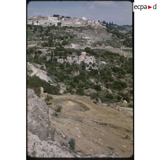 Frenda, le 21 mai 1959. [légende d'origine]