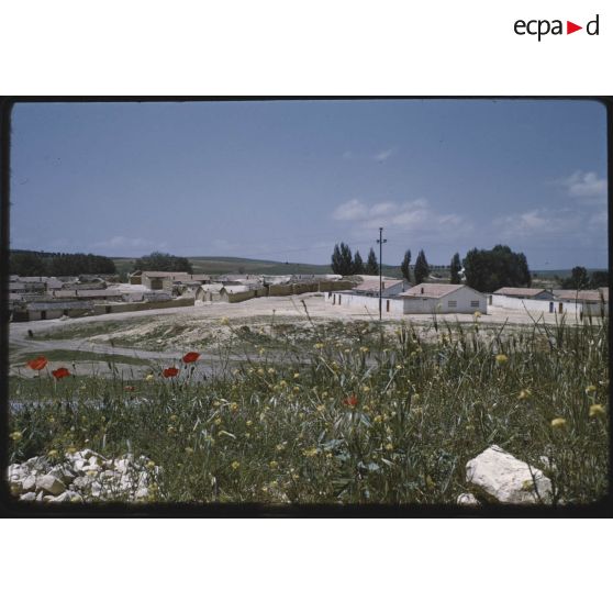 Palat, le 21 mai 1959. [légende d'origine]