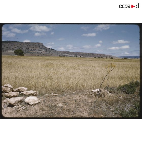 La falaise de Touta, mai 1959. [légende d'origine]