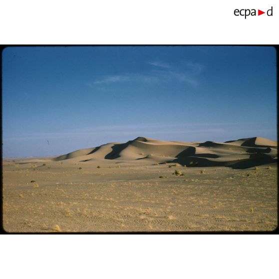 [Paysage désertique].