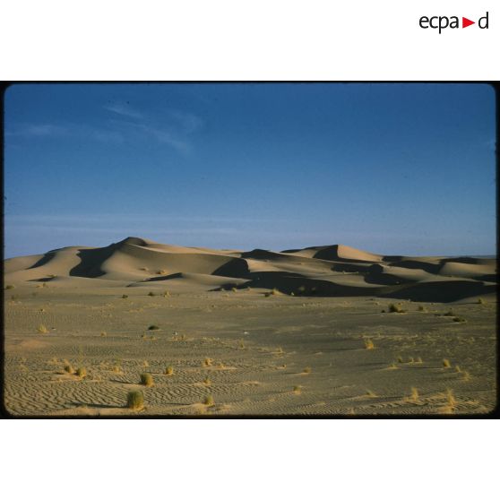 [Paysage désertique].