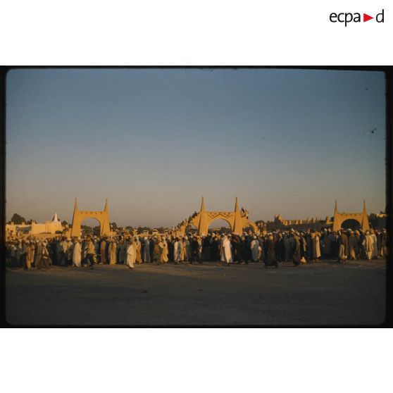 Désensablage, docteur Rouffi, Hassi-Messaoud, animaux, généralités, divers, signes marchands. [légende d'origine]