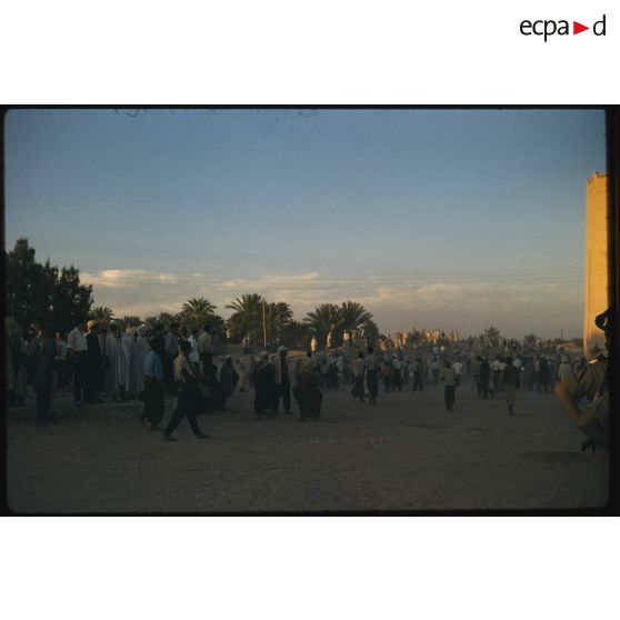 Désensablage, docteur Rouffi, Hassi-Messaoud, animaux, généralités, divers, signes marchands. [légende d'origine]