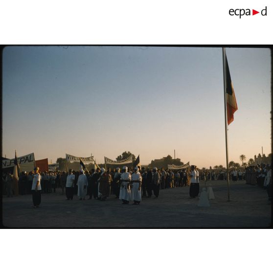 Désensablage, docteur Rouffi, Hassi-Messaoud, animaux, généralités, divers, signes marchands. [légende d'origine]