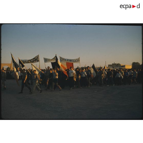 Désensablage, docteur Rouffi, Hassi-Messaoud, animaux, généralités, divers, signes marchands. [légende d'origine]