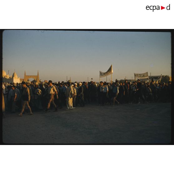 Désensablage, docteur Rouffi, Hassi-Messaoud, animaux, généralités, divers, signes marchands. [légende d'origine]