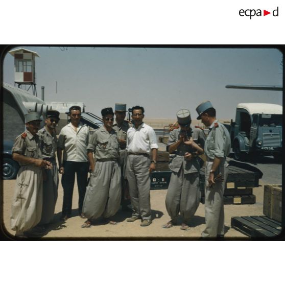 Désensablage, docteur Rouffi, Hassi-Messaoud, animaux, généralités, divers, signes marchands. [légende d'origine]