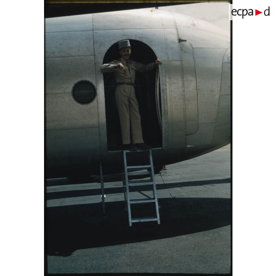 Désensablage, docteur Rouffi, Hassi-Messaoud, animaux, généralités, divers, signes marchands. [légende d'origine]