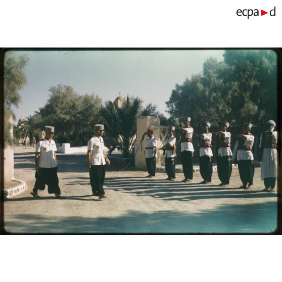 Désensablage, docteur Rouffi, Hassi-Messaoud, animaux, généralités, divers, signes marchands. [légende d'origine]