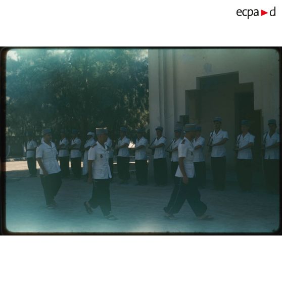 Désensablage, docteur Rouffi, Hassi-Messaoud, animaux, généralités, divers, signes marchands. [légende d'origine]