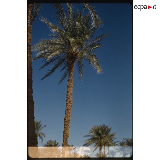 Habitations, père de Foucauld, Colomb Béchar, Divers. [légende d'origine]