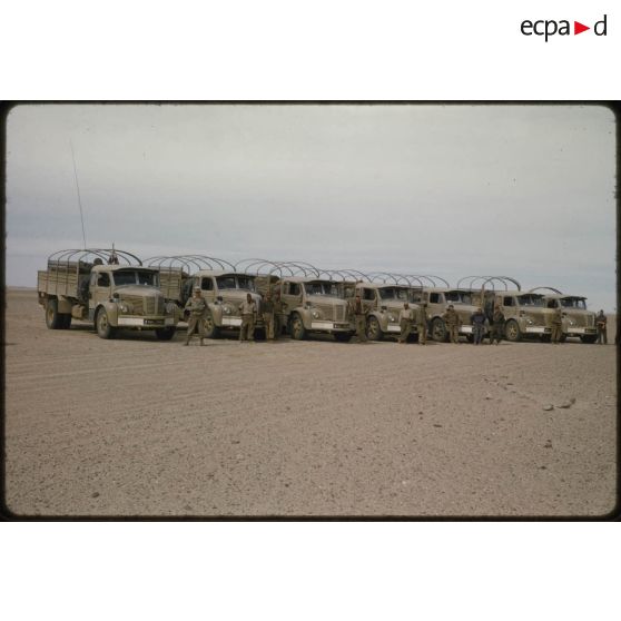 [Camions Berliet de la 2e Compagnie Saharienne Automobile de Transport (CAST) dans le Sahara algérien].