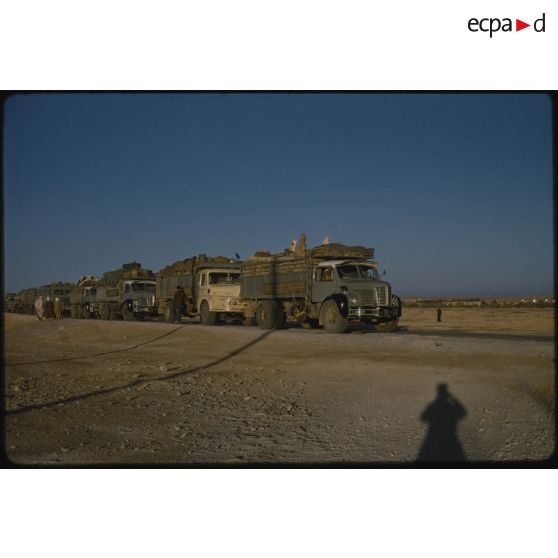 [Convoi de camions Berliet de la 2e Compagnie Saharienne Automobile de Transport (CAST) dans le Sahara algérien].