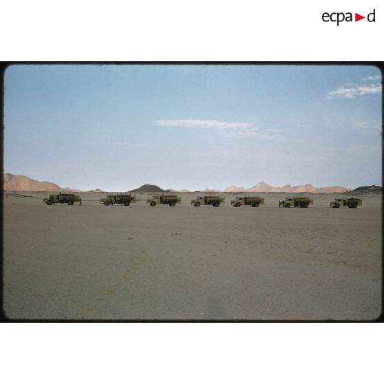 [Convoi de camions dans le Sahara algérien].