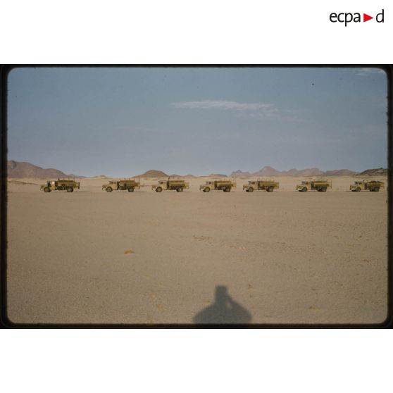 [Convoi de camions dans le Sahara algérien].