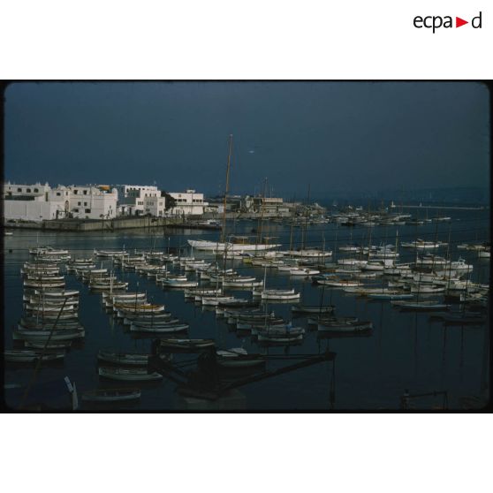 [Le port de pêche d'Alger].