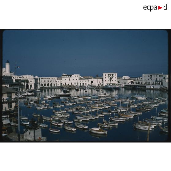 [Le port de pêche d'Alger].
