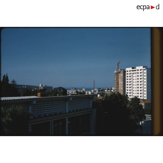 [Immeubles d'Alger].