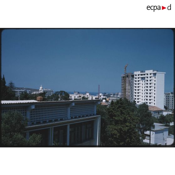 [Immeubles d'Alger].