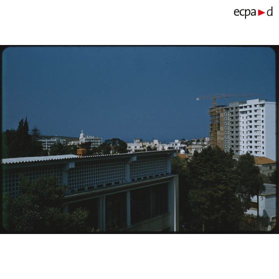 [Immeubles d'Alger].