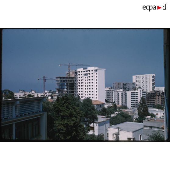 [Immeubles d'Alger].