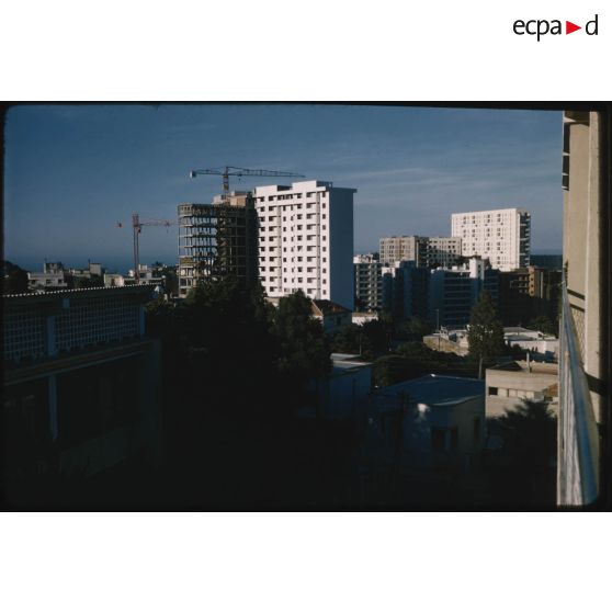 [Immeubles d'Alger].