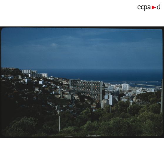 [Immeubles d'Alger].