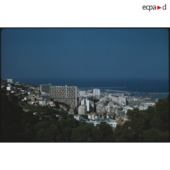 [Immeubles d'Alger].